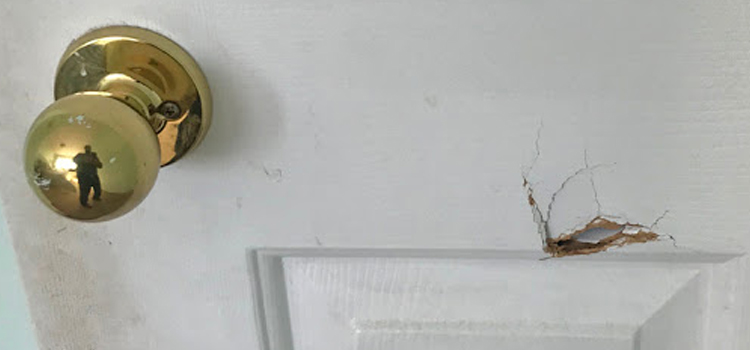interior door hole repair The Crossings
