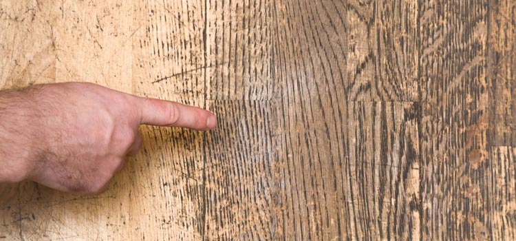 Wood Door Scratch Repair in The Crossings