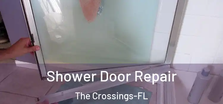  Shower Door Repair The Crossings-FL